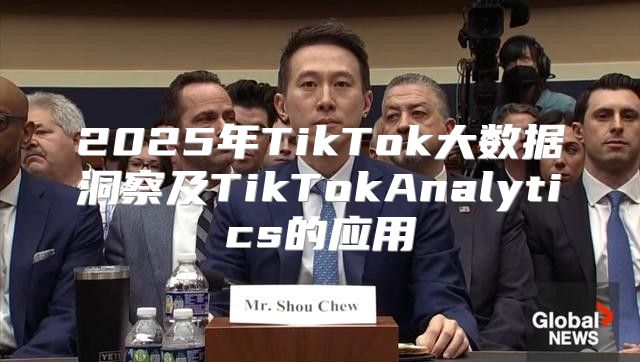 2025年TikTok大数据洞察及TikTokAnalytics的应用