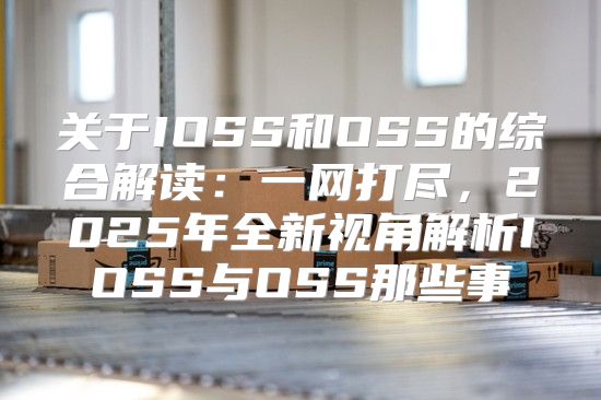 关于IOSS和OSS的综合解读：一网打尽，2025年全新视角解析IOSS与OSS那些事