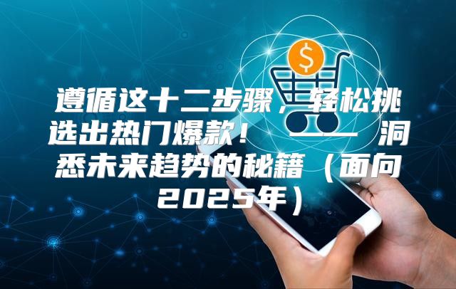 遵循这十二步骤，轻松挑选出热门爆款！ —— 洞悉未来趋势的秘籍面向2025年