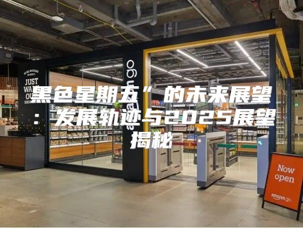 黑色星期五”的未来展望：发展轨迹与2025展望揭秘