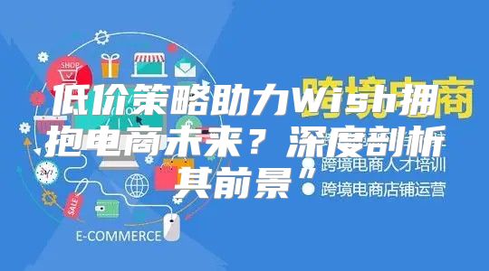 低价策略助力Wish拥抱电商未来？深度剖析其前景”