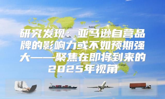 研究发现：亚马逊自营品牌的影响力或不如预期强大——聚焦在即将到来的2025年视角