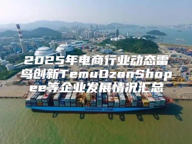 2025年电商行业动态雷鸟创新TemuOzonShopee等企业发展情况汇总