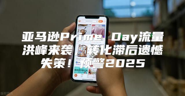亚马逊Prime Day流量洪峰来袭，转化滞后遗憾失策！预警2025