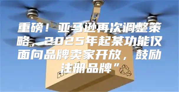 重磅！亚马逊再次调整策略，2025年起某功能仅面向品牌卖家开放，鼓励注册品牌”