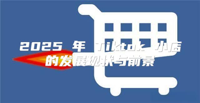 2025 年 Tiktok 小店的发展现状与前景
