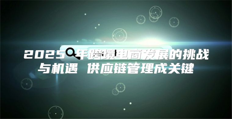 2025 年跨境电商发展的挑战与机遇 供应链管理成关键