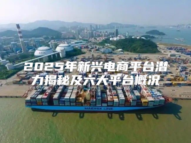 2025年新兴电商平台潜力揭秘及六大平台概况