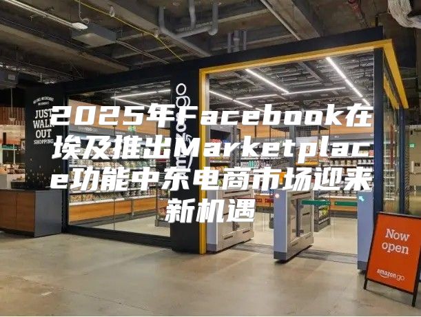 2025年Facebook在埃及推出Marketplace功能中东电商市场迎来新机遇