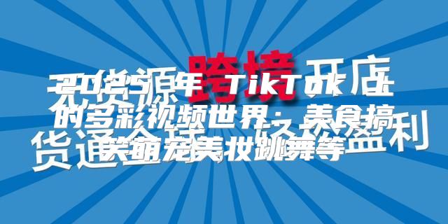 2025 年 TikTok 上的多彩视频世界：美食搞笑萌宠美妆跳舞等