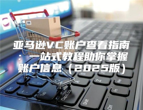 亚马逊VC账户查看指南：一站式教程助你掌握账户信息2025版