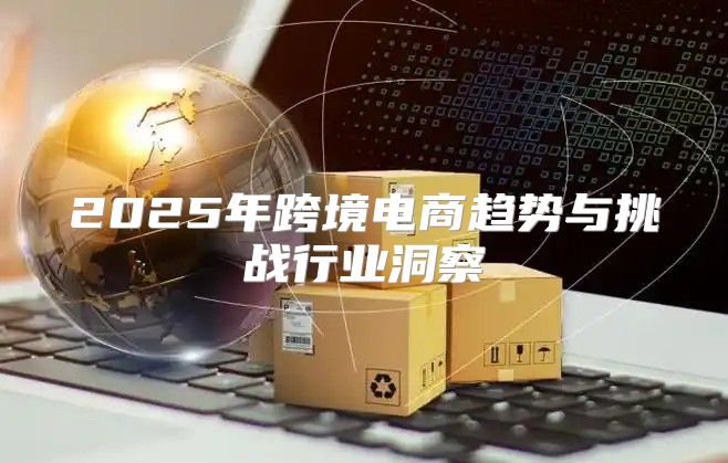 2025年跨境电商趋势与挑战行业洞察