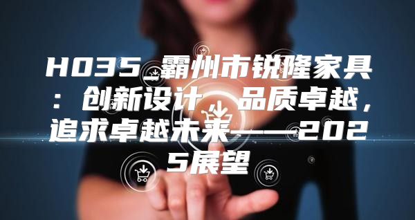 H035_霸州市锐隆家具：创新设计，品质卓越，追求卓越未来——2025展望