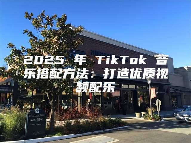 2025 年 TikTok 音乐搭配方法：打造优质视频配乐