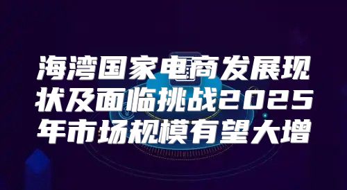 海湾国家电商发展现状及面临挑战2025年市场规模有望大增