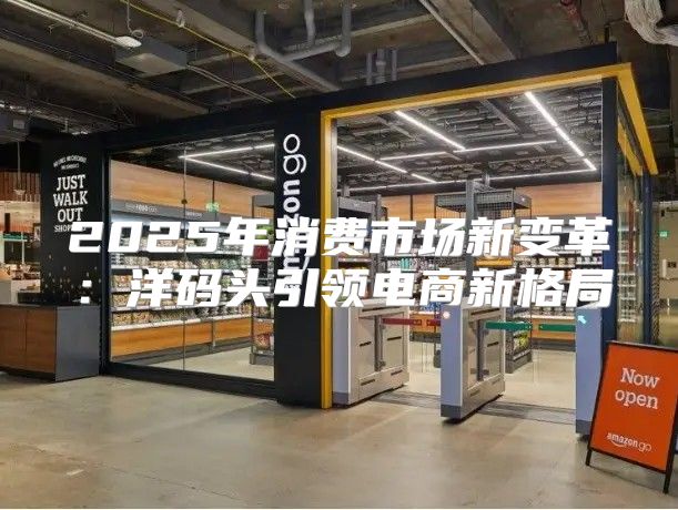 2025年消费市场新变革：洋码头引领电商新格局