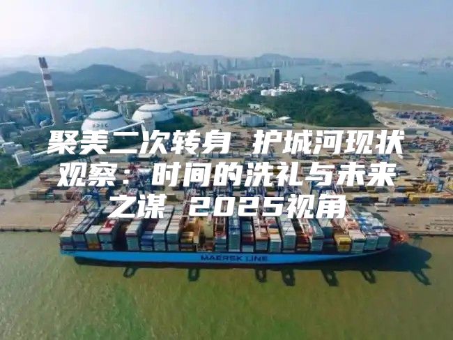 聚美二次转身 护城河现状观察：时间的洗礼与未来之谋 2025视角