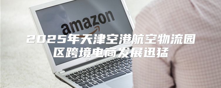 2025年天津空港航空物流园区跨境电商发展迅猛