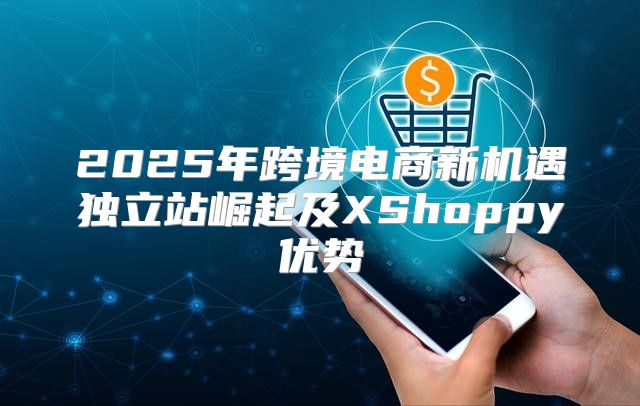 2025年跨境电商新机遇独立站崛起及XShoppy优势