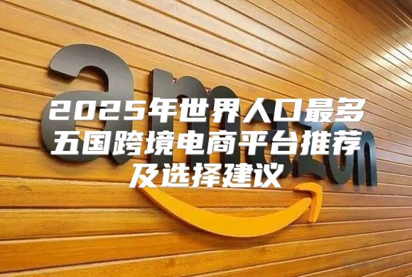 2025年世界人口最多五国跨境电商平台推荐及选择建议
