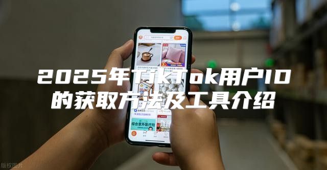 2025年TikTok用户ID的获取方法及工具介绍