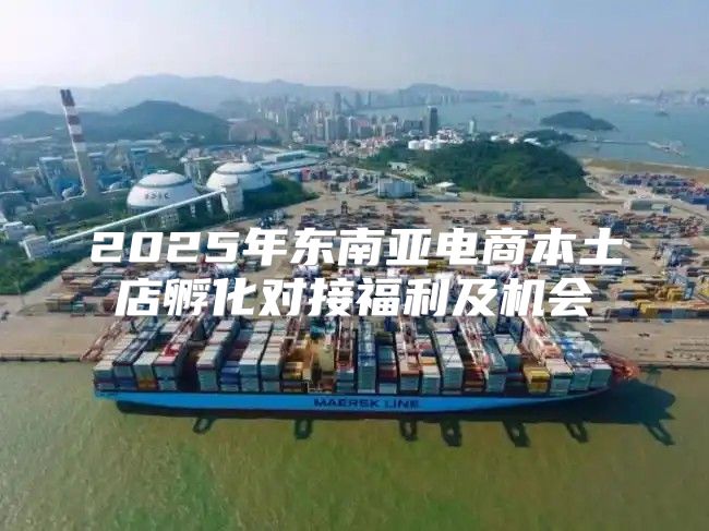 2025年东南亚电商本土店孵化对接福利及机会