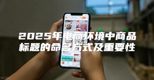 2025年电商环境中商品标题的命名方式及重要性
