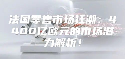 法国零售市场狂潮：4400亿欧元的市场潜力解析！