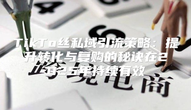 TikTo丝私域引流策略：提升转化与复购的秘诀在2025年持续有效