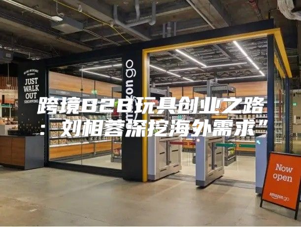 跨境B2B玩具创业之路：刘相蓉深挖海外需求”