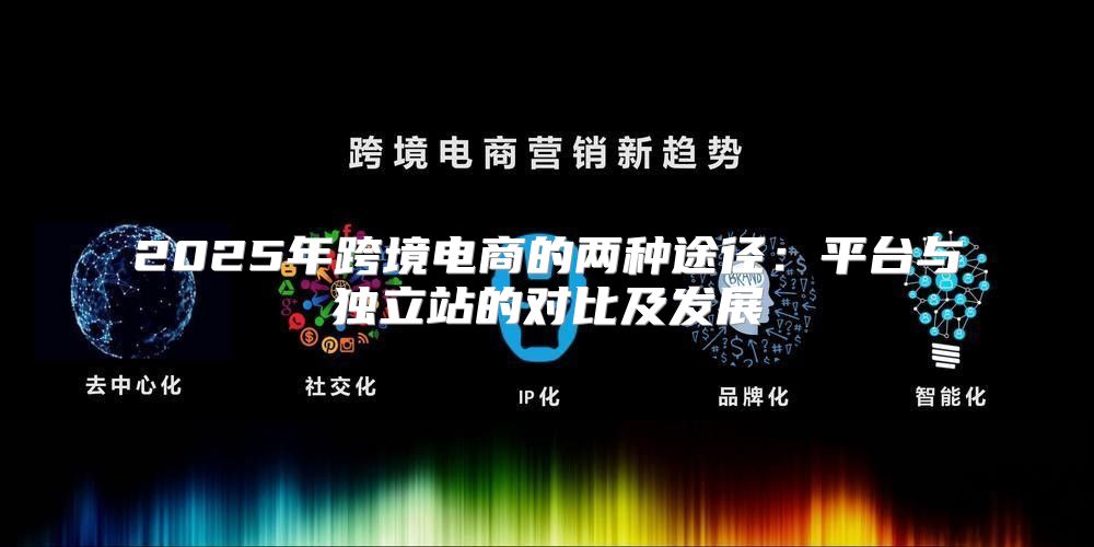 2025年跨境电商的两种途径：平台与独立站的对比及发展