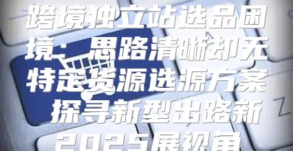 跨境独立站选品困境：思路清晰却无特定货源选源方案 探寻新型出路新2025展视角