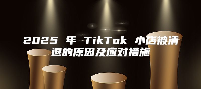 2025 年 TikTok 小店被清退的原因及应对措施