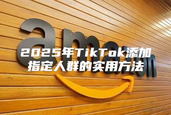 2025年TikTok添加指定人群的实用方法