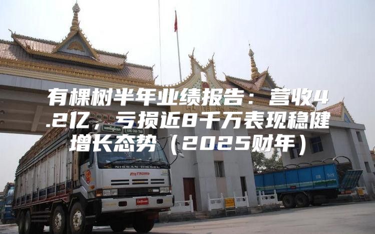 有棵树半年业绩报告：营收4.2亿，亏损近8千万表现稳健增长态势2025财年