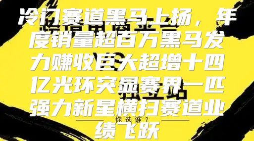 冷门赛道黑马上扬，年度销量超百万黑马发力赚收巨大超增十四亿光环突显赛界一匹强力新星横扫赛道业绩飞跃