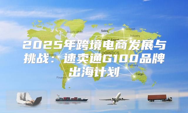2025年跨境电商发展与挑战：速卖通G100品牌出海计划
