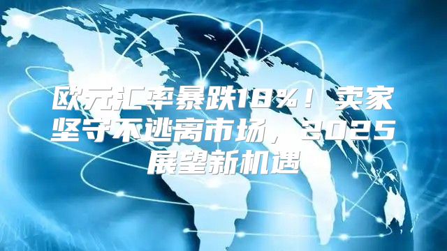 欧元汇率暴跌18%！卖家坚守不逃离市场，2025展望新机遇
