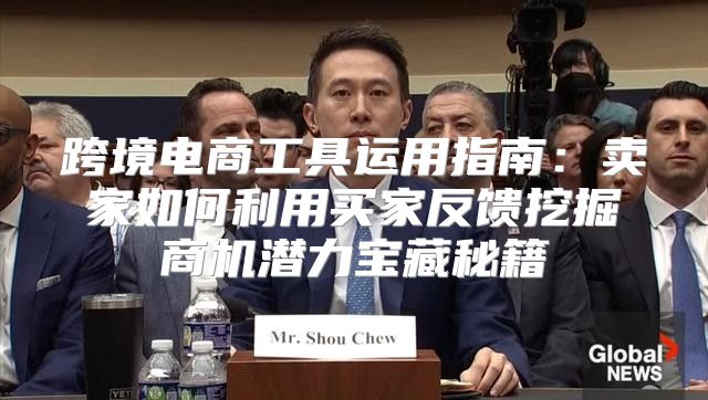 跨境电商工具运用指南：卖家如何利用买家反馈挖掘商机潜力宝藏秘籍