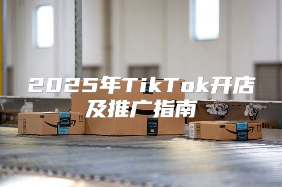 2025年TikTok开店及推广指南