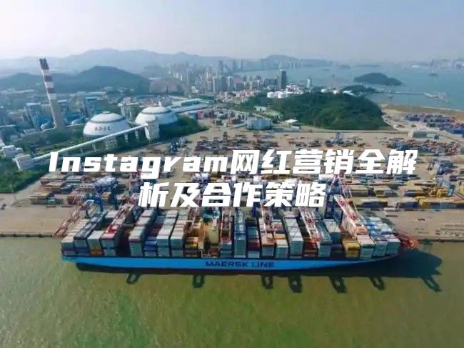 Instagram网红营销全解析及合作策略