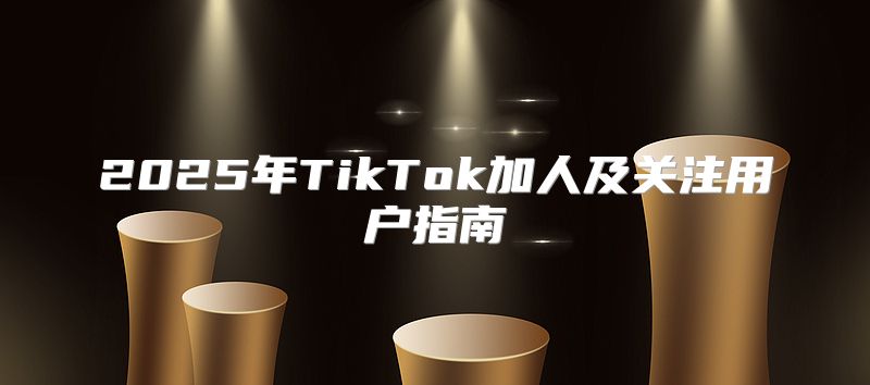 2025年TikTok加人及关注用户指南