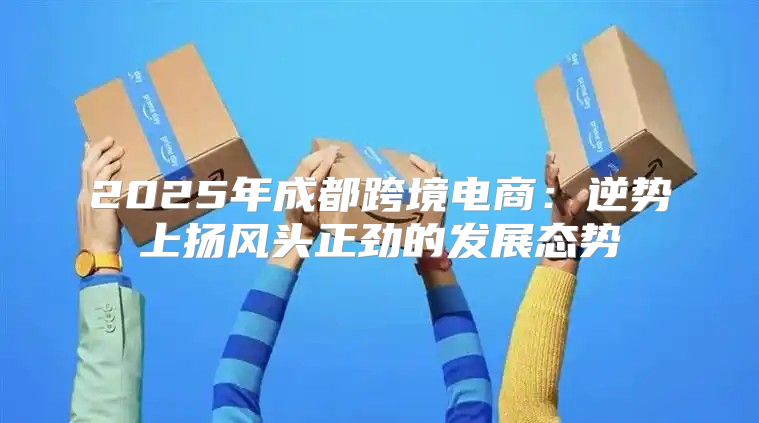 2025年成都跨境电商：逆势上扬风头正劲的发展态势