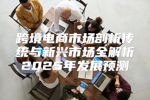 跨境电商市场剖析传统与新兴市场全解析2025年发展预测