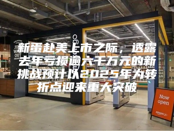 新蛋赴美上市之际，透露去年亏损逾六千万元的新挑战预计以2025年为转折点迎来重大突破