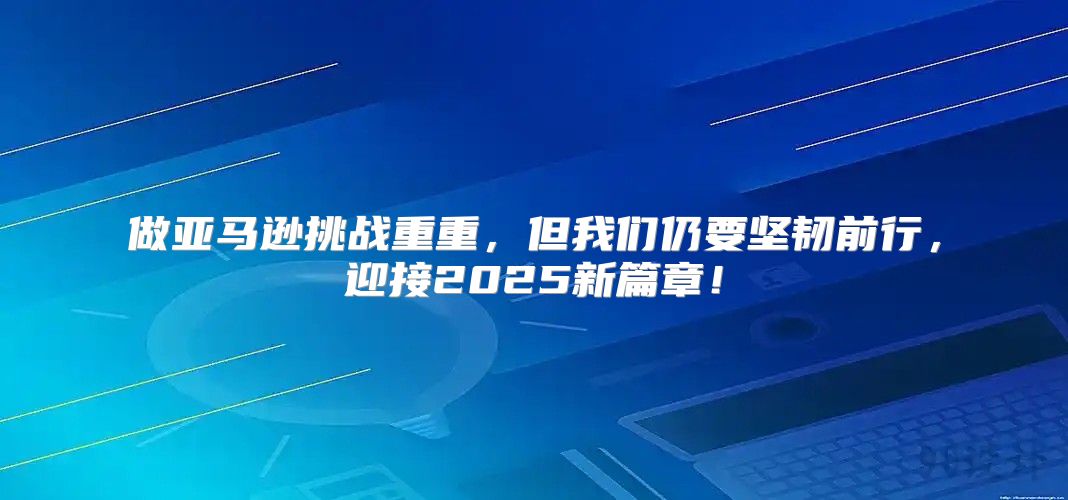 做亚马逊挑战重重，但我们仍要坚韧前行，迎接2025新篇章！
