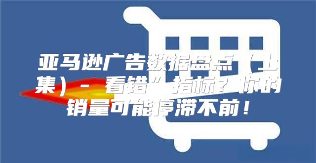 亚马逊广告数据盘点上集- 看错”指标？你的销量可能停滞不前！
