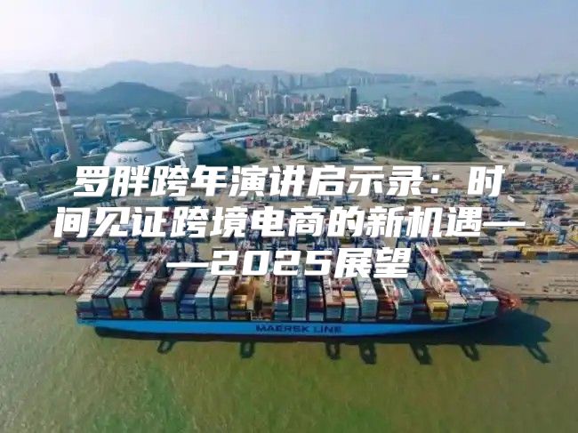 罗胖跨年演讲启示录：时间见证跨境电商的新机遇——2025展望