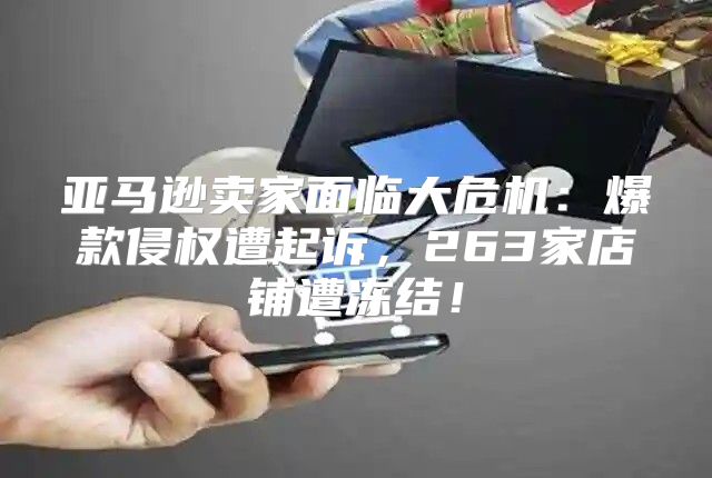 亚马逊卖家面临大危机：爆款侵权遭起诉，263家店铺遭冻结！