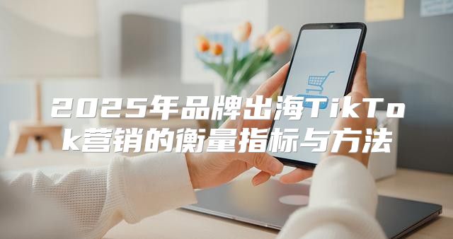 2025年品牌出海TikTok营销的衡量指标与方法